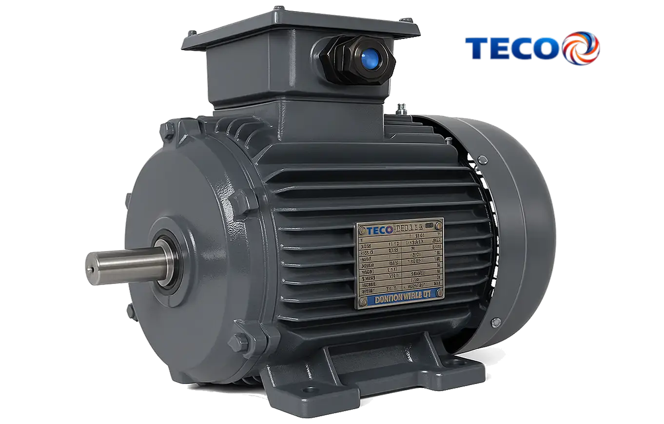 Teco Motor