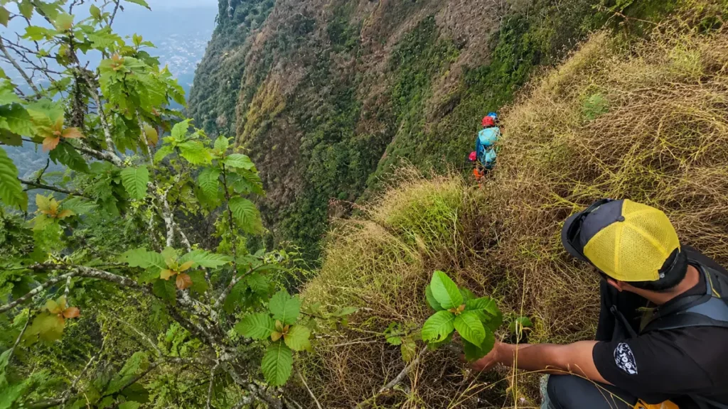 Tim SAR melakukan pencarian pendaki di kawasan Gunung Piramid Bondowoso.