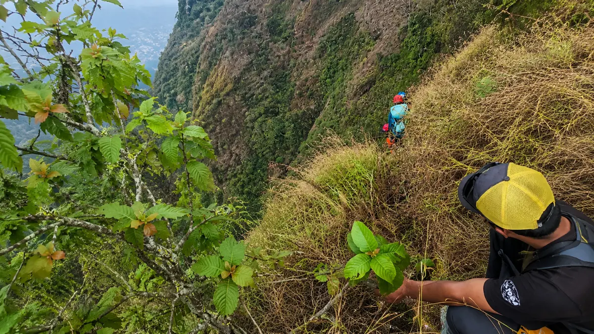 Tim SAR melakukan pencarian pendaki di kawasan Gunung Piramid Bondowoso.