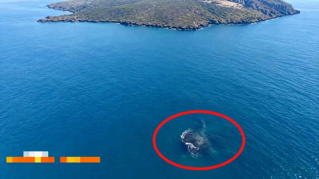 Daratan baru di Gunung Anak Krakatau seluas 32,8 hektare yang terbentuk setelah aktivitas erupsi.