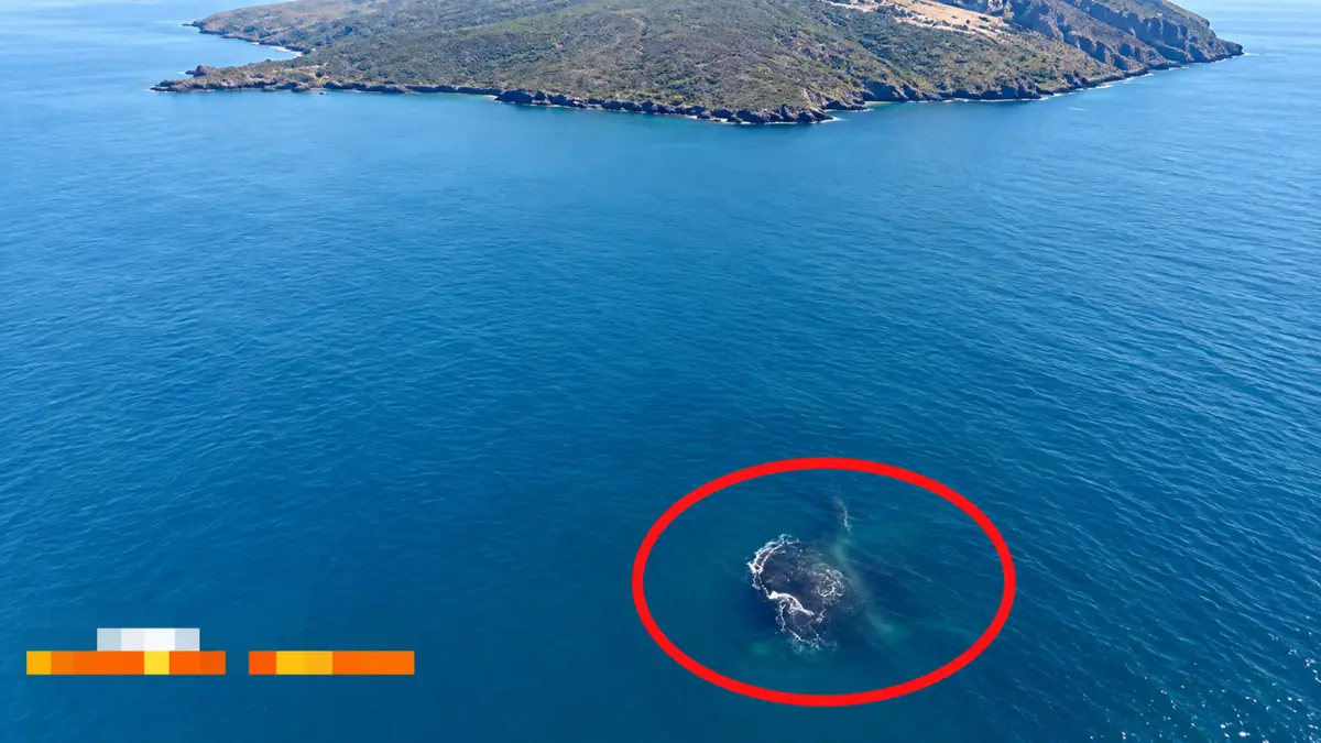 Daratan baru di Gunung Anak Krakatau seluas 32,8 hektare yang terbentuk setelah aktivitas erupsi.