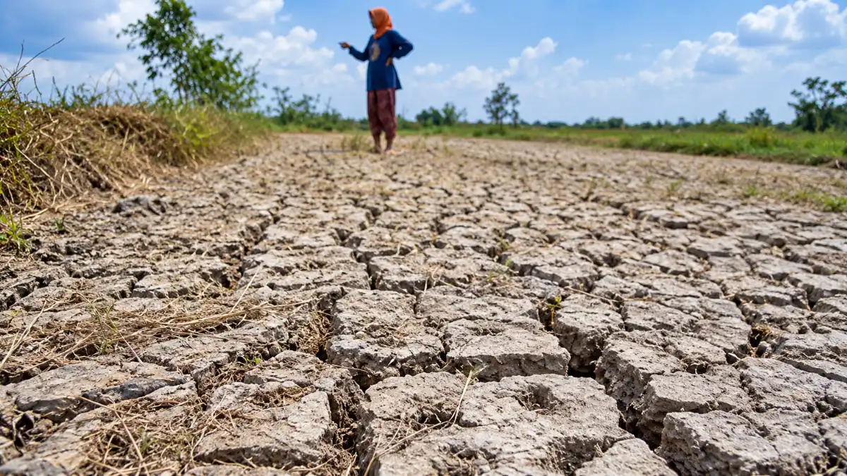 BMKG menetapkan tujuh kabupaten di Jawa Tengah berstatus awas kekeringan meteorologis pada 11–20 Oktober 2026.